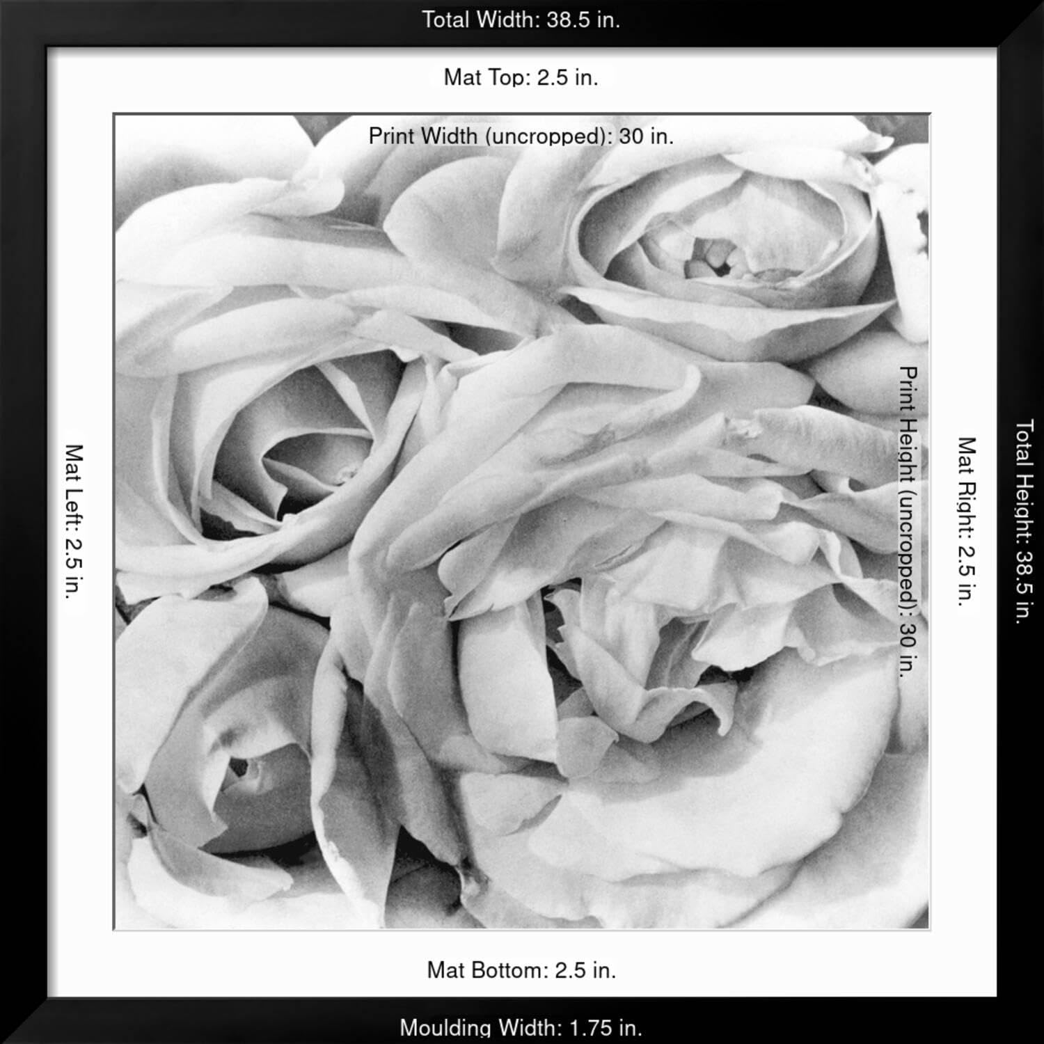 Amazon.com: ART.COM Wall Photographic Print Roses, Mexico
